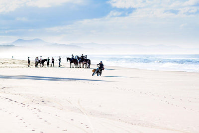 Tom Carroll Byron Bay