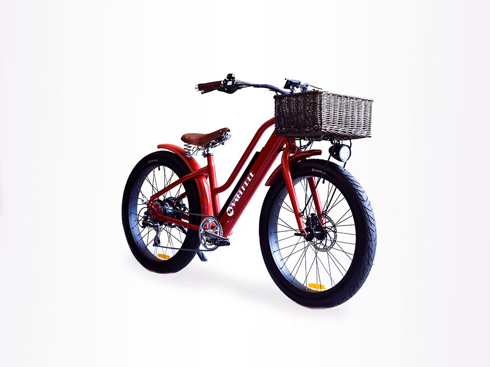 Street ebike hotsell
